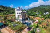 BÁN ĐẤT SỔ SẴN GIÁ TỐT NHẤT KHU VỰC VIEW HỒ YÊN BÀI_BA VÌ